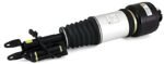 Arnott AS-2787 Front, Passenger Side Air Strut