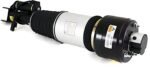 Arnott AS-2788 Front, Driver Side Air Strut - Image 2