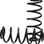 Arnott C-2666 Coil Spring Conversion Kit - Direct Fit, Kit