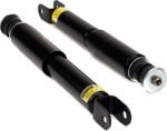 Arnott C-2666 Coil Spring Conversion Kit - Direct Fit, Kit - Image 3