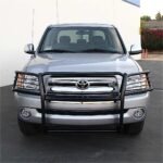 Aries 2053 Grille Guard, Powdercoated Black Steel - Image 2