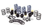 Dinan D190-0901 Coil Over Kit