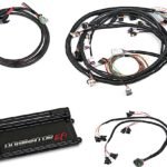 Holley 550-652 Fuel Injection Wiring Harness - Universal, Sold Individually