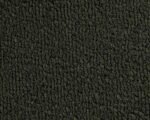 Newark Auto Products 40-4001609 Front Carpet Kit, Green, Loop carpet