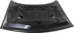 Replacement Hood, Aluminum, Primed, R/T/R/T Plus/SXT/SXT Plus Models - Image 5