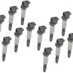 Delphi SET-GN10328-12 Ignition Coils, Set of 12, 12 Cylinder, 6.0L Engine