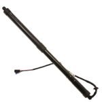 TRW TSG367037 Driver or Passenger Side Tailgate