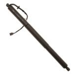TRW TSG367046 Driver or Passenger Side Tailgate