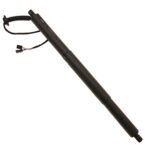 TRW TSG367060 Driver or Passenger Side Tailgate