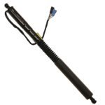 TRW TSG367069 Driver or Passenger Side Tailgate