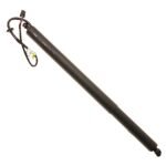TRW TSG367078 Driver Side Tailgate