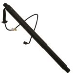 TRW TSG367089 Driver or Passenger Side Tailgate