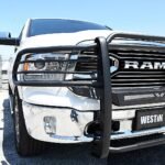 Westin 40-33545 Sportsman X Series, Powdercoated Textured Black Steel Grille Guard - Image 6