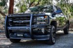Westin 40-33815 Sportsman X Series, Powdercoated Textured Black Steel Grille Guard - Image 6