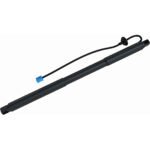 Vemo V30-55-0002 Driver or Passenger Side Tailgate, Sport Utility
